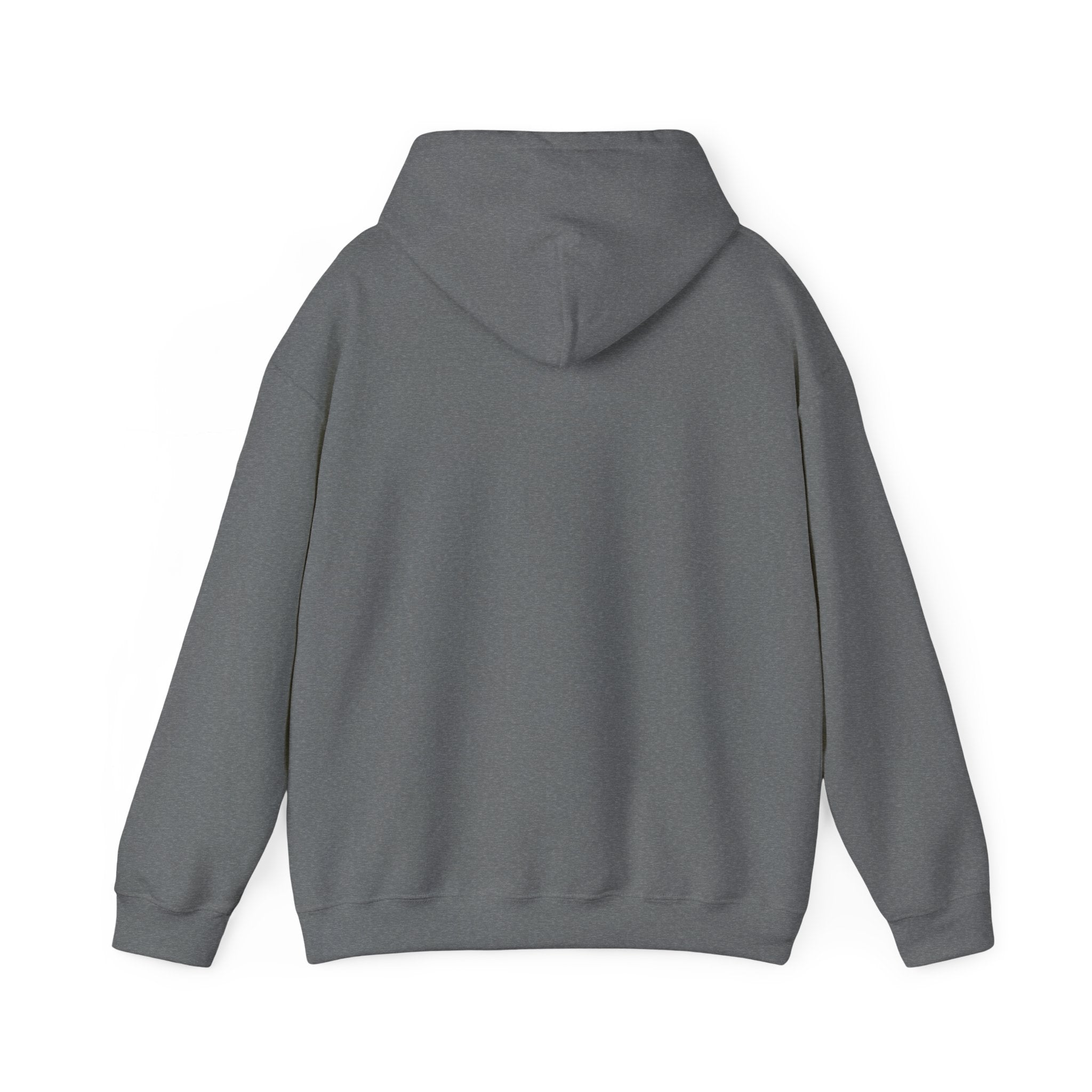 Mettle Hoodie — Mettle discipline streetwear