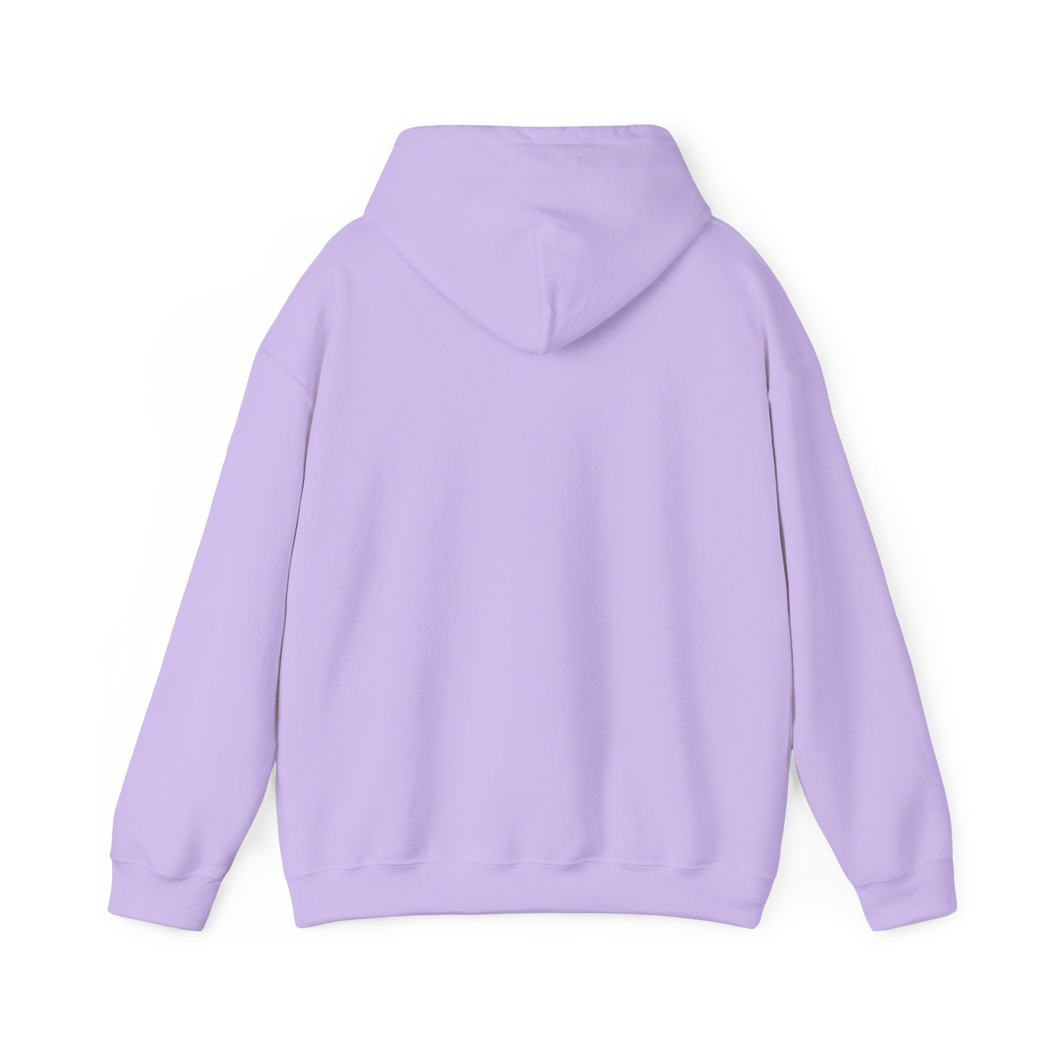 Mettle Hoodie — Mettle discipline streetwear